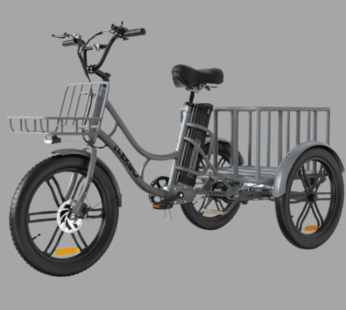 ELEKGo EGO03 Lasten-E-Trike 500W 48V 18Ah, LCD-Display, 20×3.0 Reifen