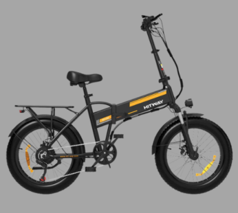 BK10M Folding Ebike