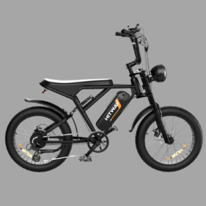 BK29M Retro Electric Bike